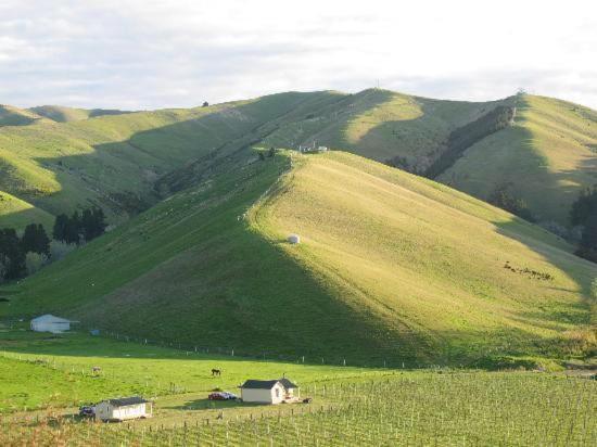 Mountain View Villa Blenheim Luaran gambar